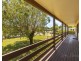 24 Avala Crescent, Elimbah QLD 4516