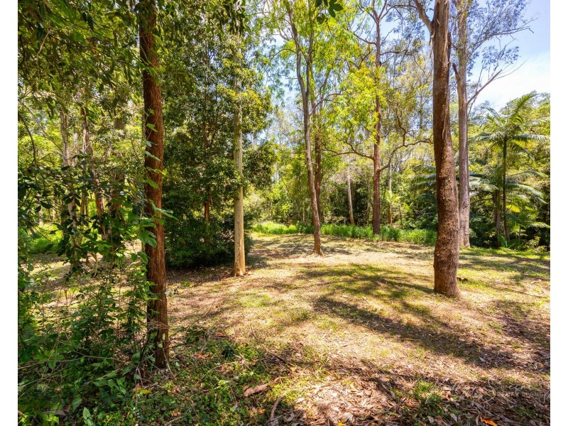 24 Avala Crescent, Elimbah QLD 4516