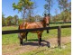1 Nonmus Road, Stanmore QLD 4514