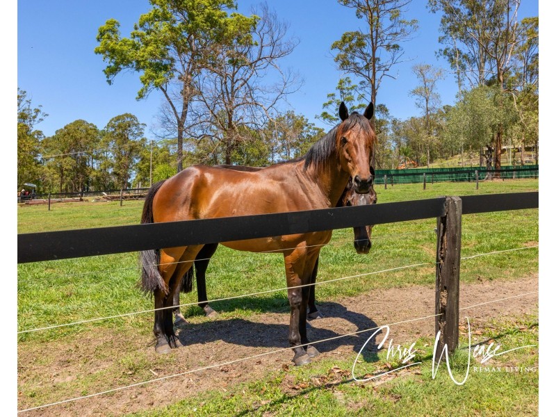1 Nonmus Road, Stanmore QLD 4514