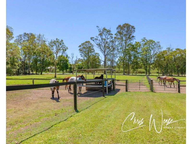 1 Nonmus Road, Stanmore QLD 4514