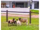 54a Ces Rivers Road, Tamaree QLD 4570
