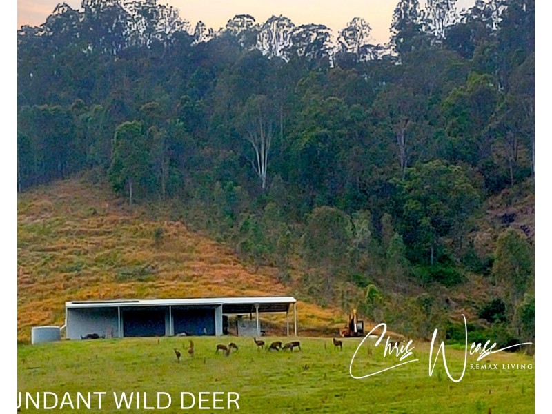 1216 Sandy Creek Road, Sandy Creek QLD 4515