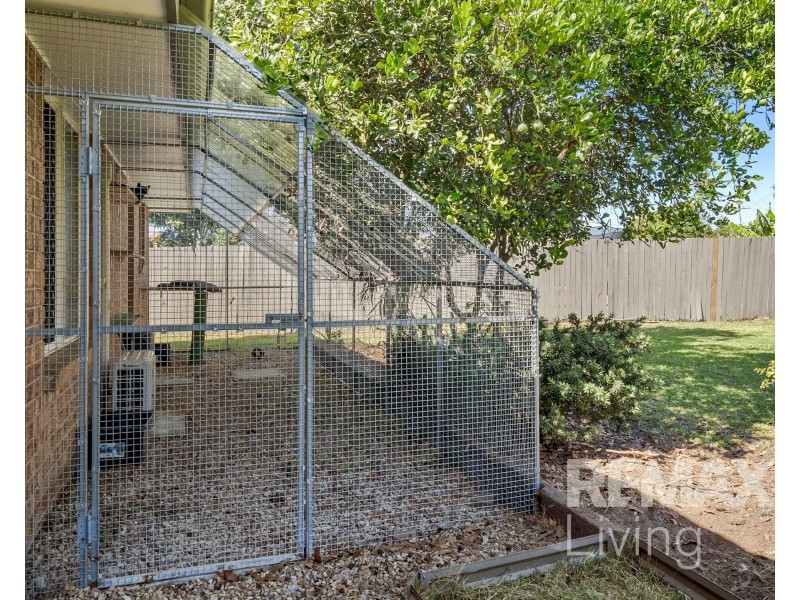 3 Wilsford Court, Caboolture QLD 4510