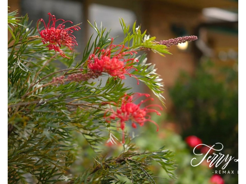 88 Jarrot Court, Delaneys Creek QLD 4514