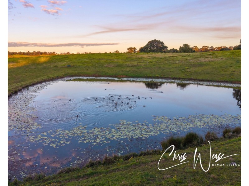 81 Settlement Road, Mount Mee QLD 4521