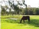 67 Newman Rd, Beachmere QLD 4510
