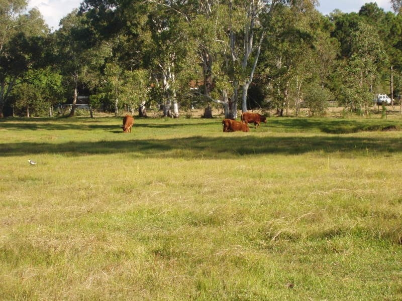 67 Newman Rd, Beachmere QLD 4510