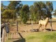 Morayfield QLD 4506