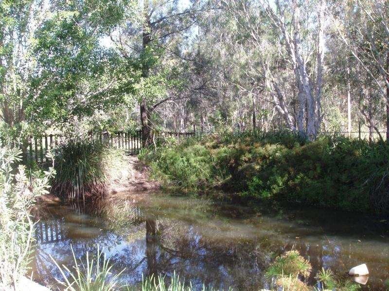 43 Hawthorn Road, Burpengary QLD 4505