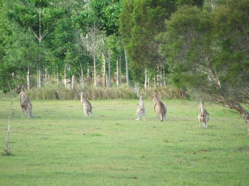 63 Broadlands, Buxton QLD 4660