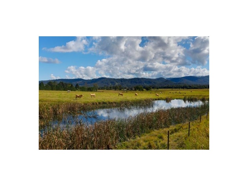 Stanmore QLD 4514