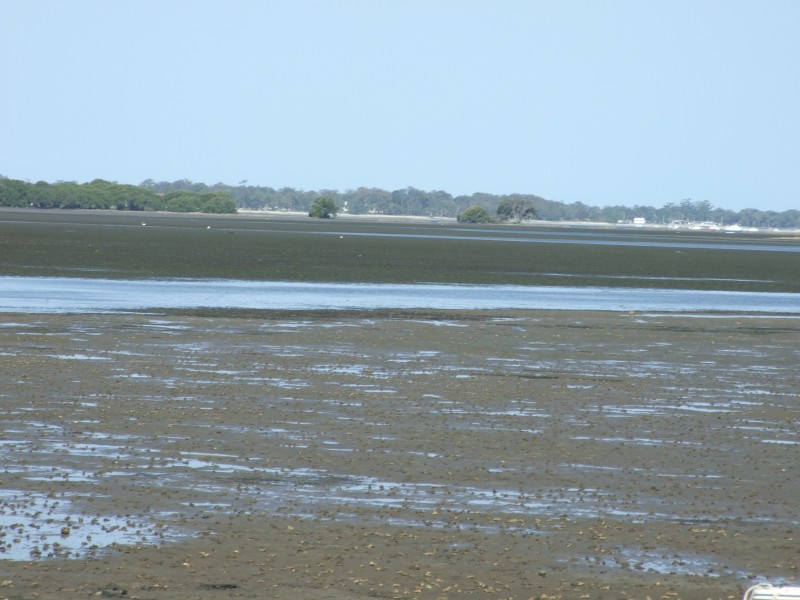 Toorbul QLD 4510