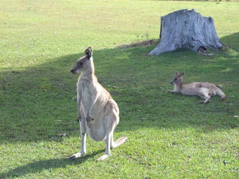 Toorbul QLD 4510