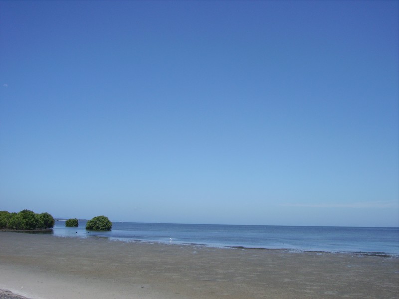 31 Rose Street, Godwin Beach QLD 4511