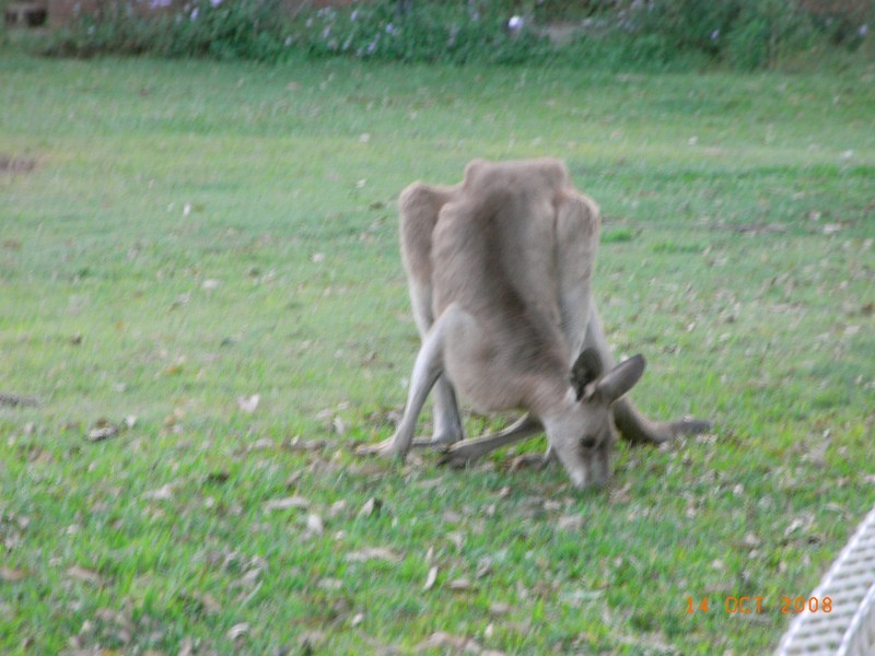 Toorbul QLD 4510