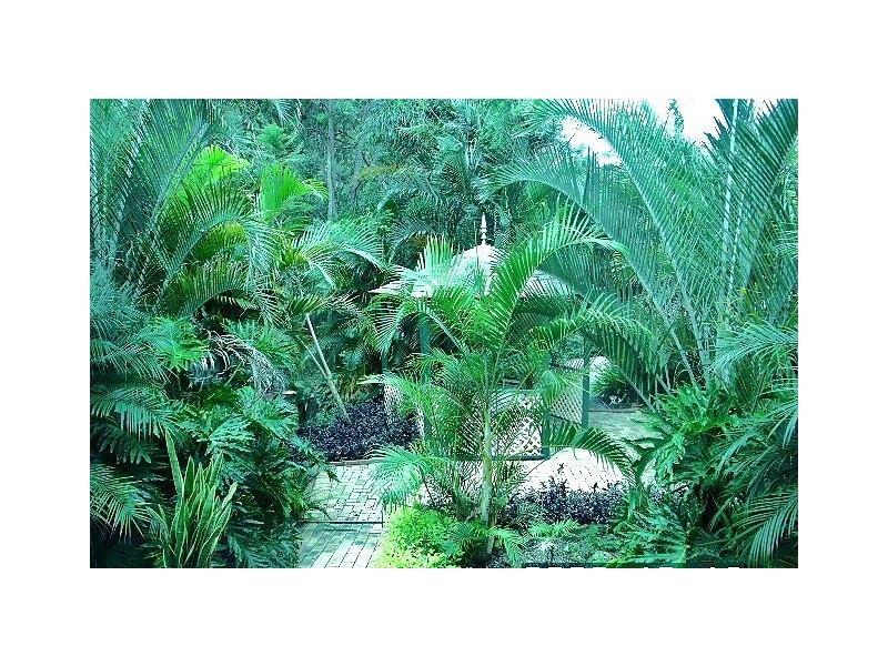 Burpengary QLD 4505