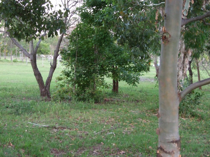 Burpengary QLD 4505