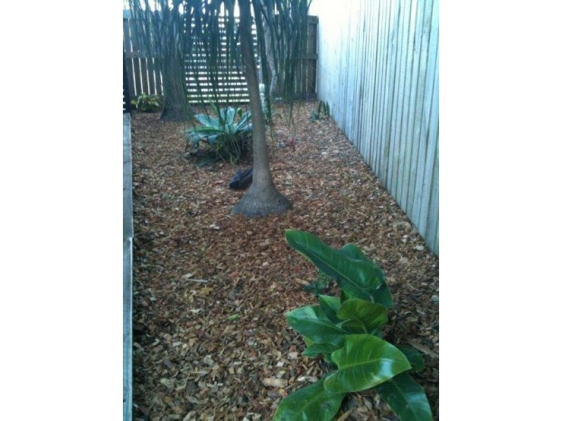 25 Emerson Drive, Morayfield QLD 4506