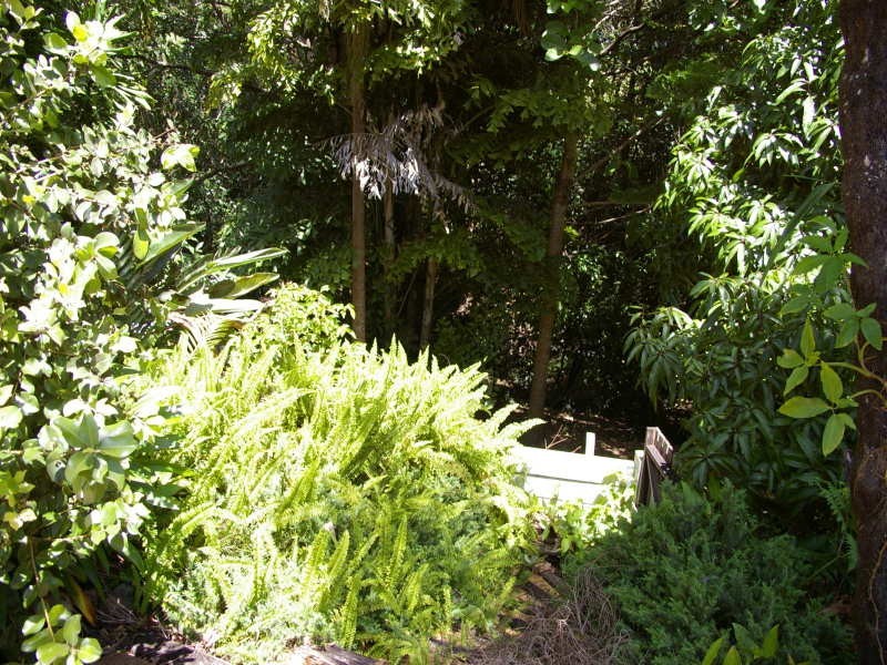 Burpengary QLD 4505