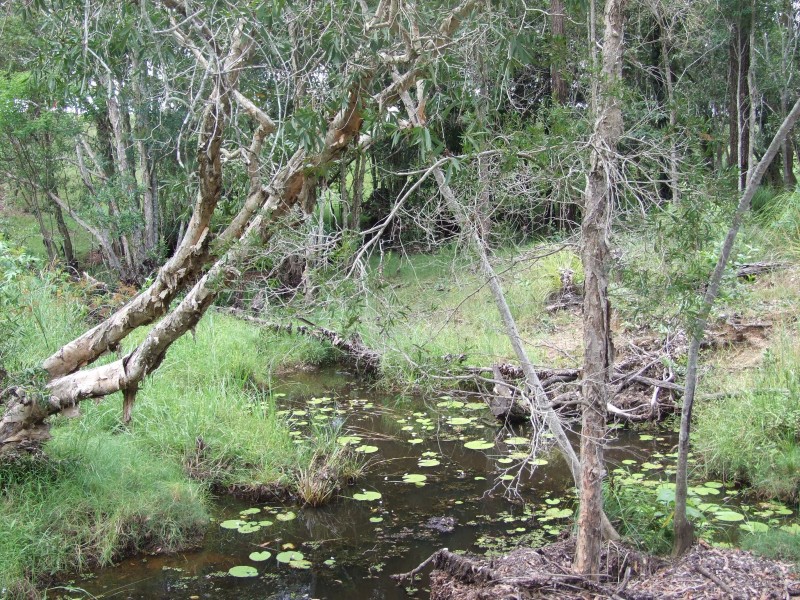 Upper Caboolture QLD 4510