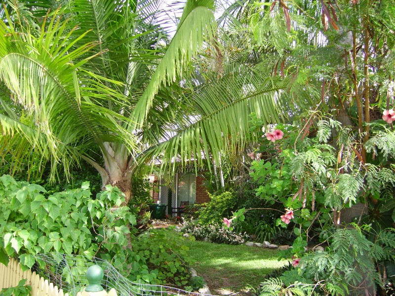 Morayfield QLD 4506