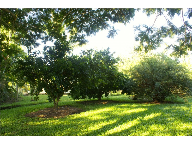 13 Poplar Court, Morayfield QLD 4506