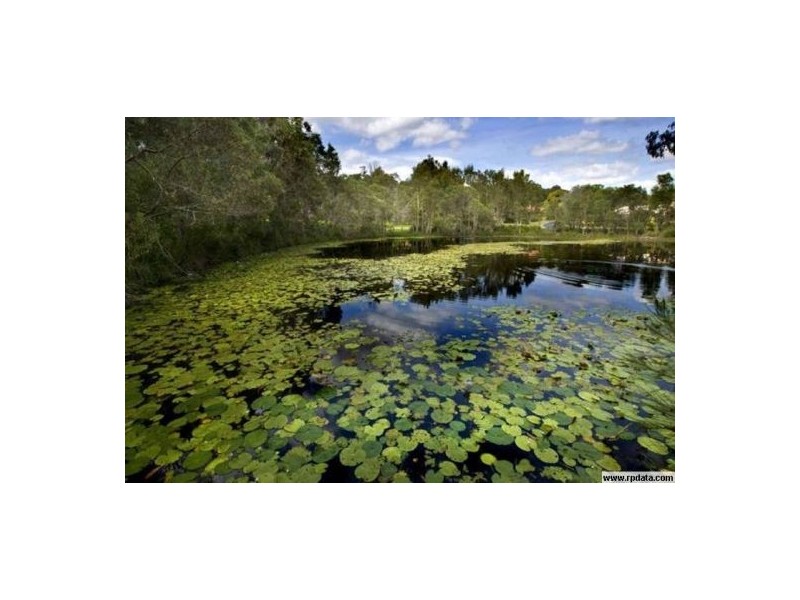 46 CURRIMUNDI CRT, Burpengary QLD 4505