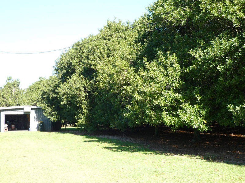 Bellmere QLD 4510