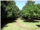 Bellmere QLD 4510