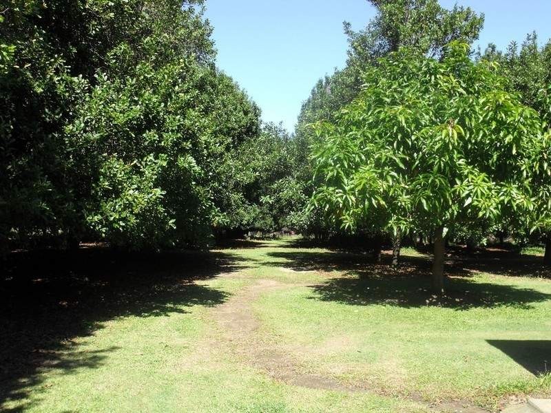 Bellmere QLD 4510