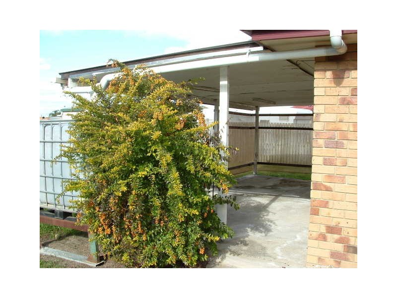 Caboolture QLD 4510