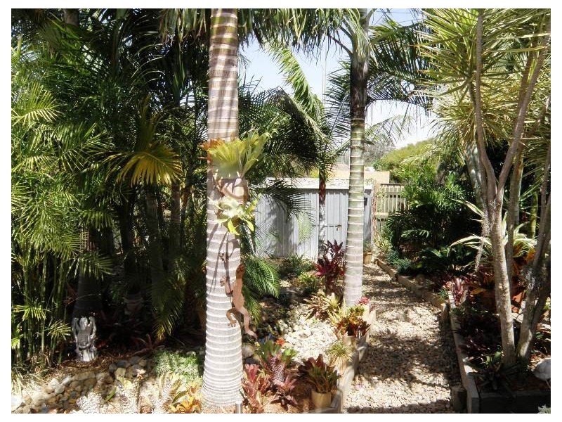 3 SANDRA CT, Deception Bay QLD 4508