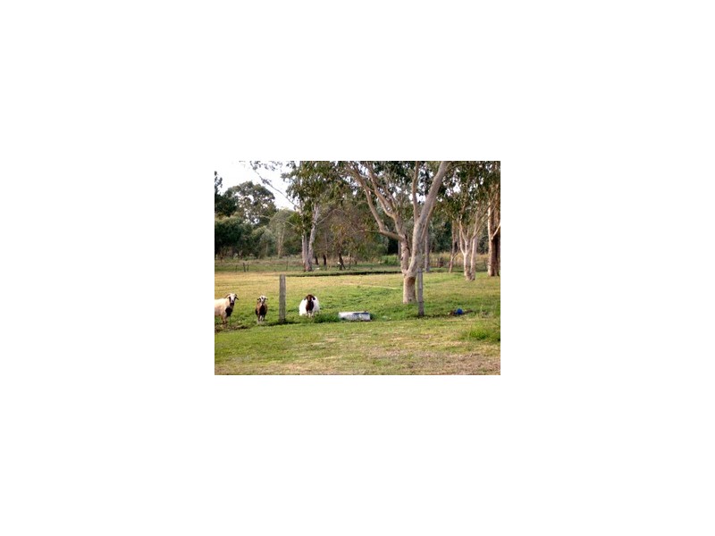 Morayfield QLD 4506