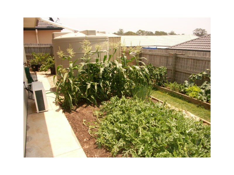 Upper Caboolture QLD 4510