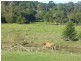 11 Wilkes Lane,, Eumundi QLD 4562