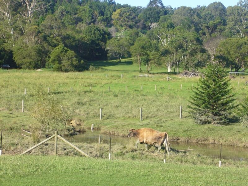11 Wilkes Lane,, Eumundi QLD 4562