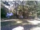 Bellmere QLD 4510