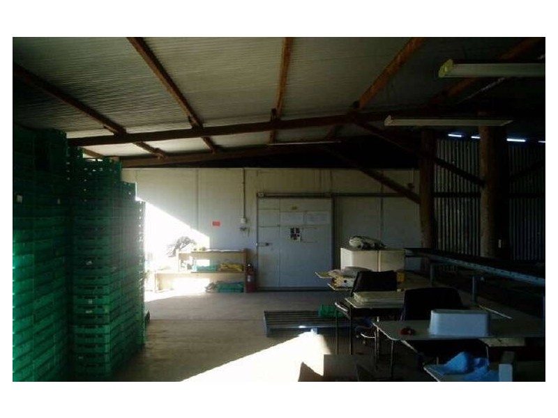 Elimbah QLD 4516