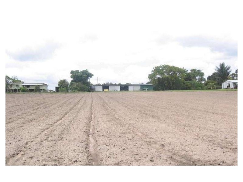 Elimbah QLD 4516