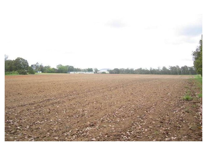 Elimbah QLD 4516