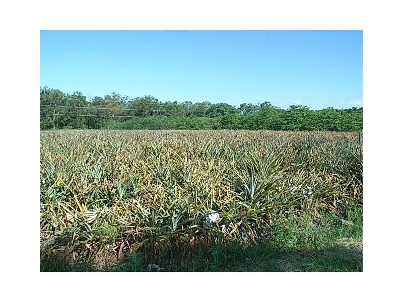 Lot 37 Tinney Road, Upper Caboolture QLD 4510