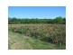 Lot 37 Tinney Road, Upper Caboolture QLD 4510