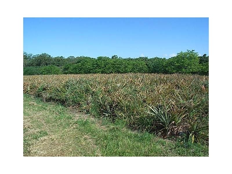 Lot 37 Tinney Road, Upper Caboolture QLD 4510