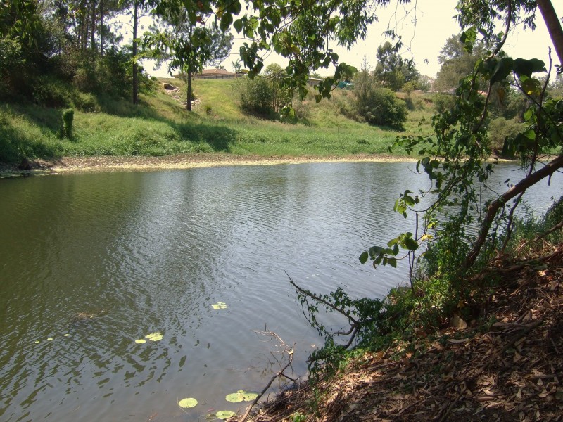 Bellmere QLD 4510