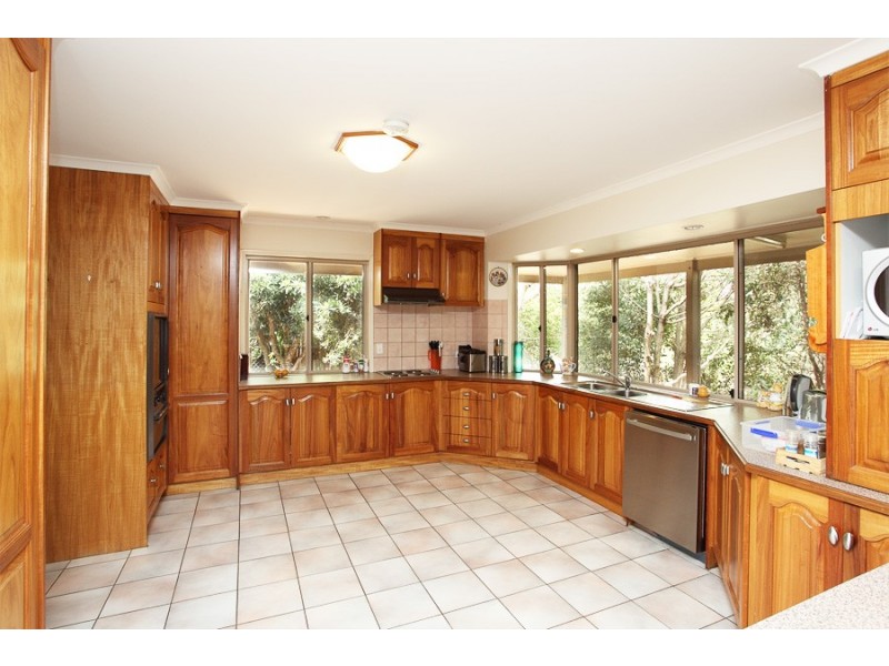 55 Bristlebird Drive, Morayfield QLD 4506