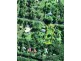 Burpengary QLD 4505