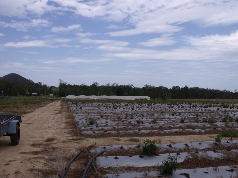 Wamuran QLD 4512