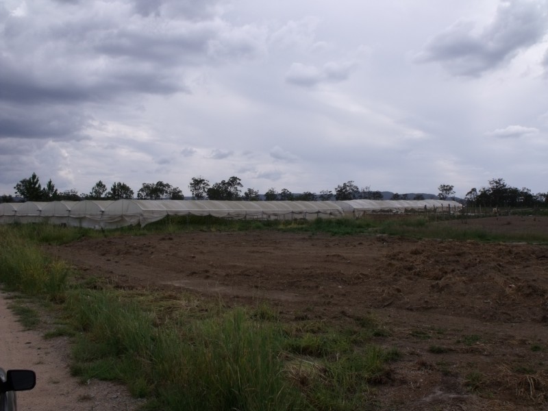 Wamuran QLD 4512