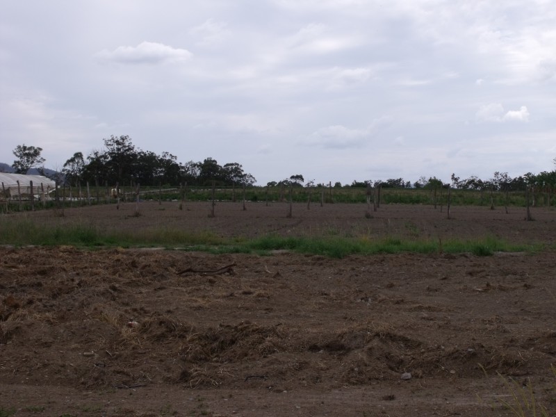 Wamuran QLD 4512